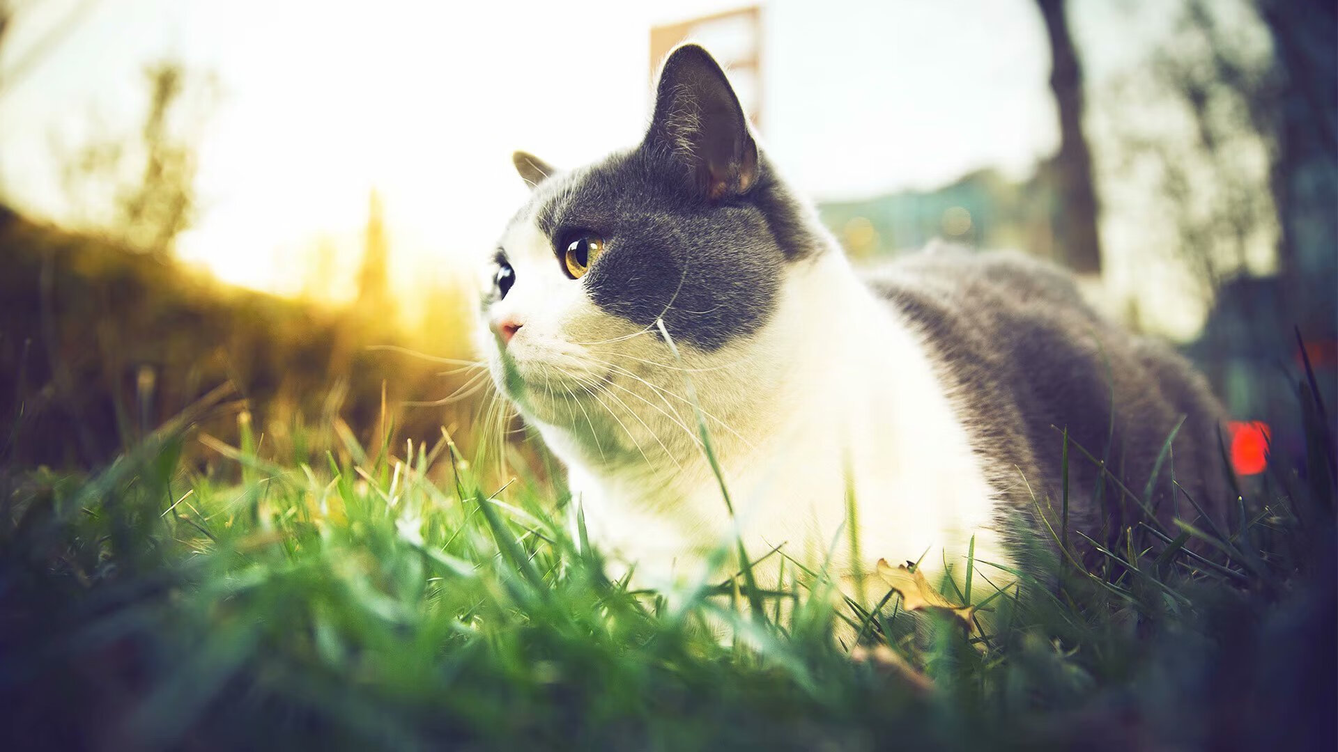 fb体育下载-王者荣耀 俱乐部积极引进人才，王者荣耀俱乐部靠什么盈利