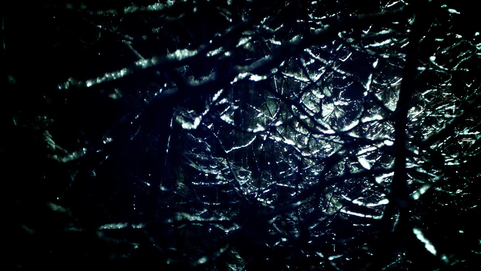 FB SPORTS-欧国联赛资深球员表现出色，为球队贡献，欧国联赛事介绍