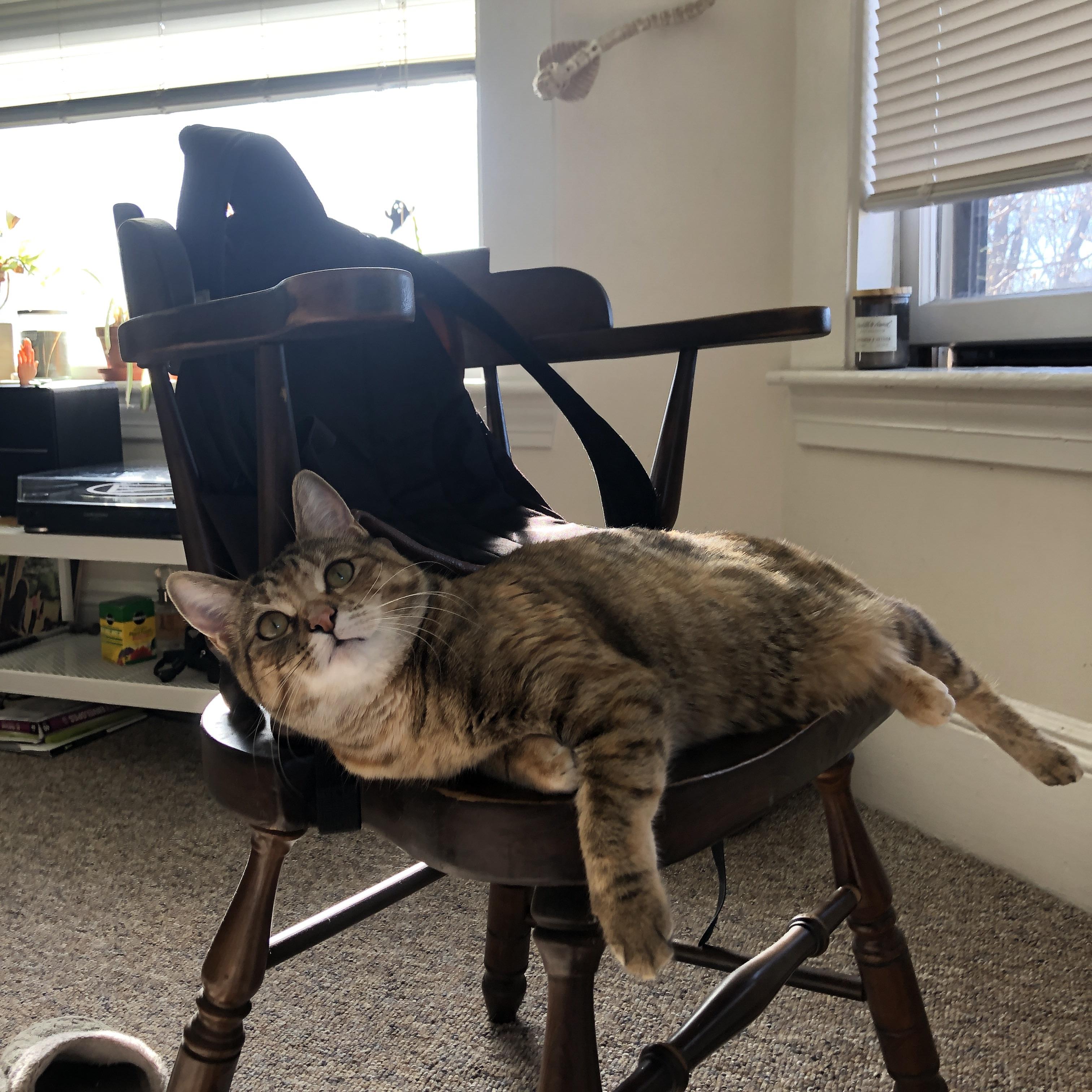 fb体育官网中国-腾讯电竞赛事平台优化升级，腾讯电竞赛事运营