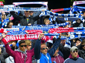 fb体育试玩-球迷文化盛宴：从欧洲到亚洲的足球狂欢，中国足球球迷文化