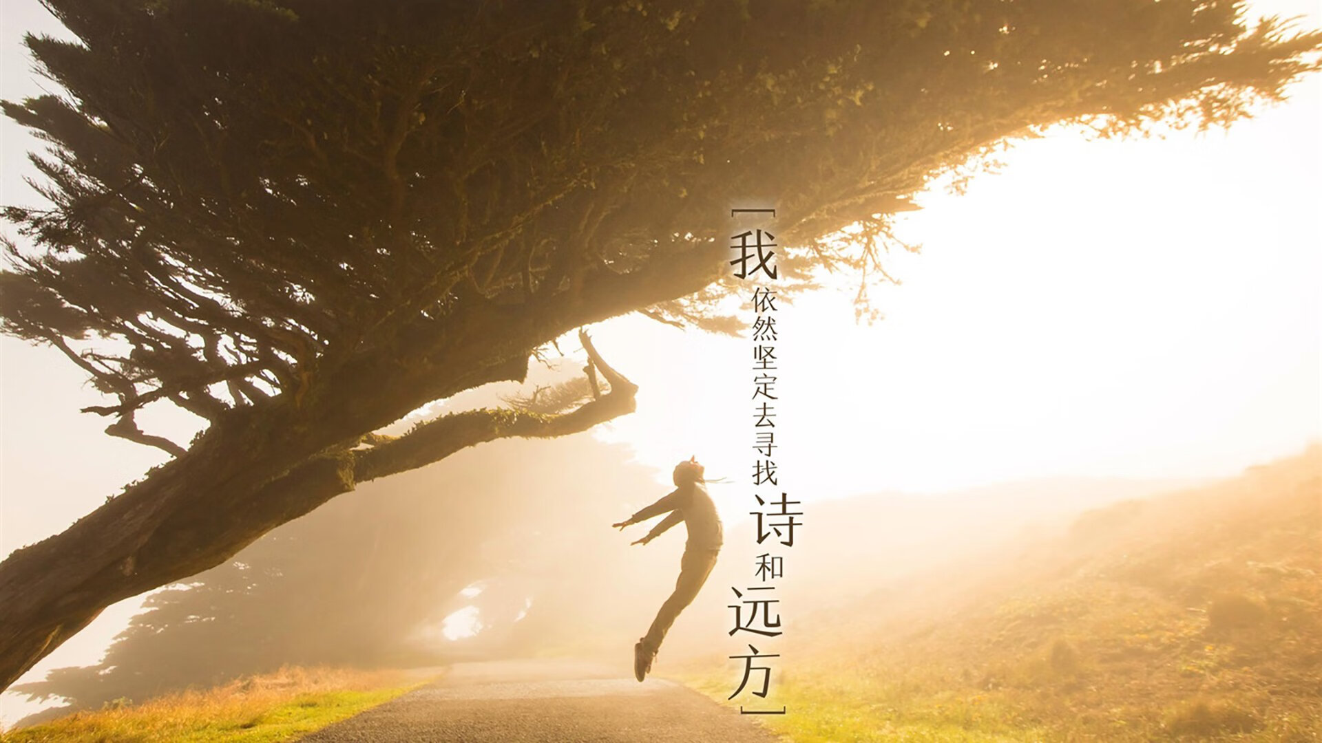 fb体育官网入口-传球线路设计是否成为五大联赛技术教练关注焦点，传球的路线有哪三种