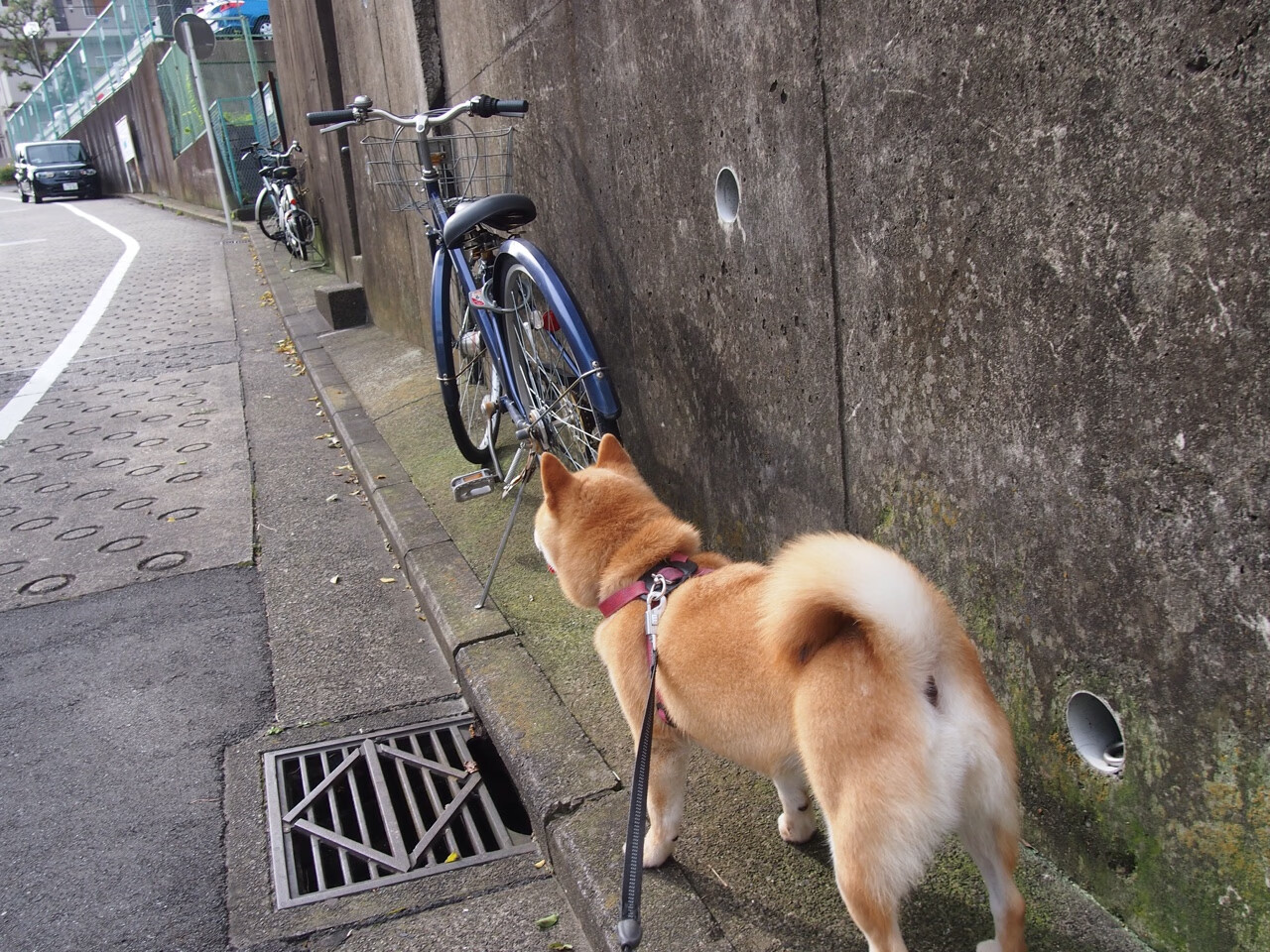 fb体育网页版-湖人交易新援提升内线高度，湖人交易最新消息目标