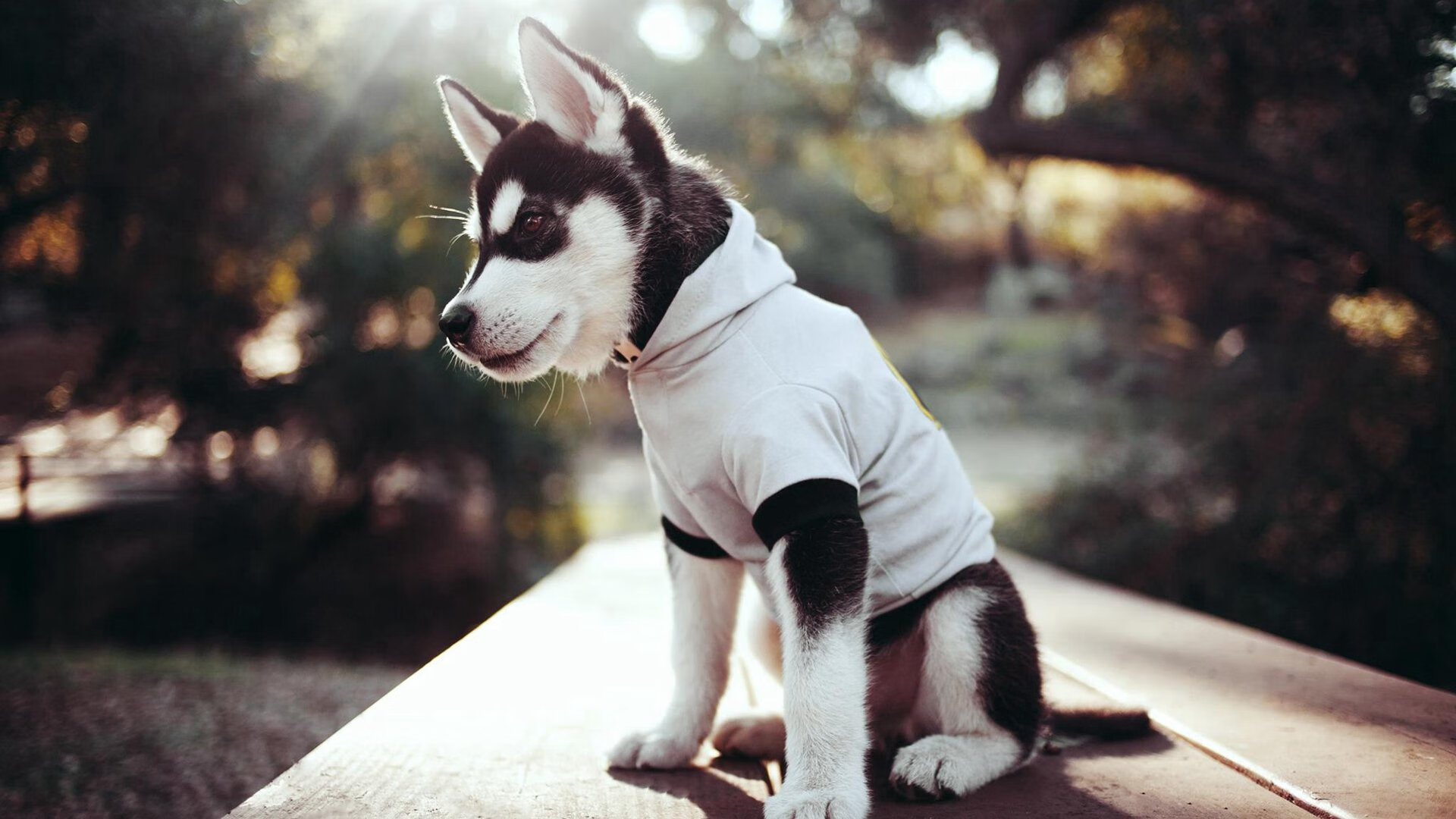 fb体育电竞-篮球青训推行小组互评制度增强团队协作，篮球团队训练