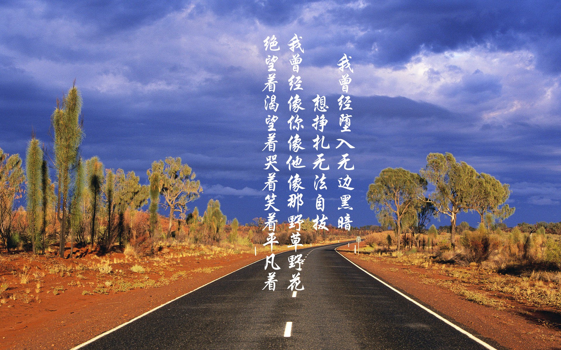 fb体育网站-跳水稳定输出奥地利锁定奖牌，奥运跳水得分规则